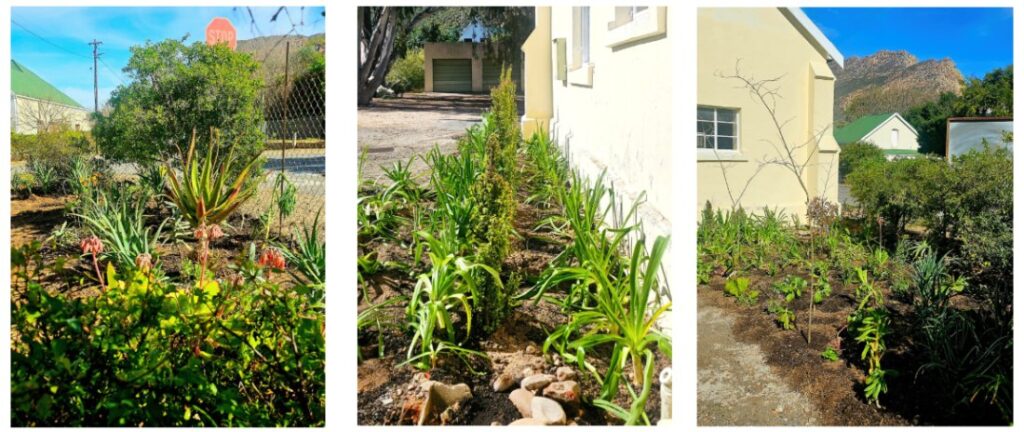 MCC Garden work party at the ACVV
